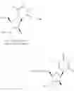 Fig. 372 - Nucleoside Phosphonate Analogs