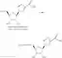 Fig. 379 - Nucleoside Phosphonate Analogs