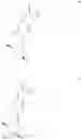 Fig. 394 - Nucleoside Phosphonate Analogs