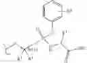 Fig. 99 - Nucleoside Phosphonate Analogs