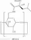 Fig. 22 - Beta-Cyclodextrin Derivatives as Antibacterial Agents