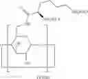 Fig. 33 - Beta-Cyclodextrin Derivatives as Antibacterial Agents
