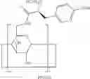 Fig. 35 - Beta-Cyclodextrin Derivatives as Antibacterial Agents