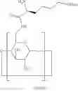 Fig. 64 - Beta-Cyclodextrin Derivatives as Antibacterial Agents