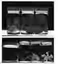 Fig. 01 - Compositions and Methods for Preserving Colors and Patterns of Plants