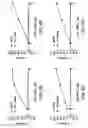 Fig. 07 - Compounds that Inhibit Production of sAPPB and AB and Uses Thereof