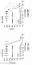 Fig. 14 - Compounds that Inhibit Production of sAPPB and AB and Uses Thereof