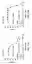 Fig. 16 - Compounds that Inhibit Production of sAPPB and AB and Uses Thereof
