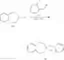 Fig. 231 - Inhibitors of beta-secretase