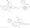 Fig. 258 - Inhibitors of beta-secretase