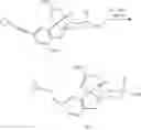 Fig. 299 - Inhibitors of beta-secretase