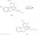 Fig. 366 - Inhibitors of beta-secretase