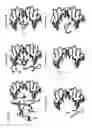 Fig. 03 - IDENTIFICATION AND USE OF SMALL MOLECULES TO MODULATE TRANSCRIPTION FACTOR FUNCTION AND TO TREAT TRANSCRIPTION FACTOR ASSOCIATED DISEASES
