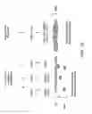 Fig. 15 - IDENTIFICATION AND USE OF SMALL MOLECULES TO MODULATE TRANSCRIPTION FACTOR FUNCTION AND TO TREAT TRANSCRIPTION FACTOR ASSOCIATED DISEASES