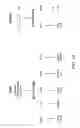 Fig. 16 - IDENTIFICATION AND USE OF SMALL MOLECULES TO MODULATE TRANSCRIPTION FACTOR FUNCTION AND TO TREAT TRANSCRIPTION FACTOR ASSOCIATED DISEASES