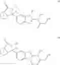Fig. 25 - Raf modulators and methods of use