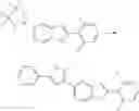 Fig. 351 - INDOLE DERIVATIVES AS CRAC MODULATORS
