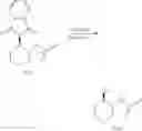 Fig. 171 - NEW COMPOUNDS