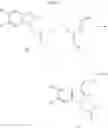 Fig. 04 - Indoles and their therapeutic use