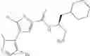 Fig. 306 - Inhibitors of AKT Activity