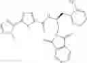 Fig. 95 - Inhibitors of AKT Activity