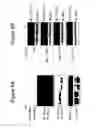 Fig. 08 - NICOTINIC ACID RECEPTOR LIGANDS
