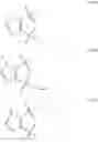 Fig. 14 - Modulators of ATP-binding cassette transporters