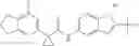 Fig. 164 - Modulators of ATP-binding cassette transporters