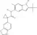 Fig. 250 - Modulators of ATP-binding cassette transporters