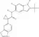 Fig. 60 - Modulators of ATP-binding cassette transporters