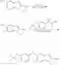 Fig. 834 - Modulators of ATP-binding cassette transporters