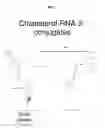 Fig. 02 - RNAi Modulation of the RHO-A Gene and Uses Thereof