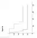 Fig. 13 - COMPOSITIONS AND METHODS FOR DIAGNOSIS, PROGNOSIS AND TREATMENT OF MESOTHELIOMA