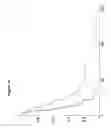 Fig. 18 - COMPOSITIONS AND METHODS FOR DIAGNOSIS, PROGNOSIS AND TREATMENT OF MESOTHELIOMA