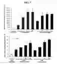 Fig. 08 - Method for treating conditions mediated by PPAR using macelignan