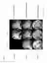 Fig. 10 - Transparent articles prepared from thermoplastic compositions having low birefringence