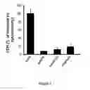 Fig. 03 - Compositions and methods of use of neurovascular protective multifunctional polynitroxylated pegylated carboxy hemoglobins for transfusion and critical care medicine