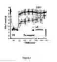 Fig. 05 - Compositions and methods of use of neurovascular protective multifunctional polynitroxylated pegylated carboxy hemoglobins for transfusion and critical care medicine
