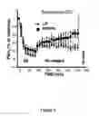 Fig. 06 - Compositions and methods of use of neurovascular protective multifunctional polynitroxylated pegylated carboxy hemoglobins for transfusion and critical care medicine