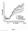 Fig. 07 - Compositions and methods of use of neurovascular protective multifunctional polynitroxylated pegylated carboxy hemoglobins for transfusion and critical care medicine