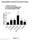 Fig. 12 - Compositions and methods of use of neurovascular protective multifunctional polynitroxylated pegylated carboxy hemoglobins for transfusion and critical care medicine