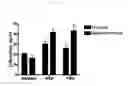 Fig. 09 - RESISTIN ANTAGONISTS AND THEIR USE