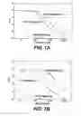 Fig. 08 - Antibodies that recognize cutting edge within the TGF-β activation controlling region