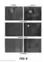 Fig. 10 - Antibodies that recognize cutting edge within the TGF-β activation controlling region