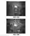 Fig. 11 - Antibodies that recognize cutting edge within the TGF-β activation controlling region