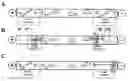 Fig. 01 - Electrolysis for protein modification