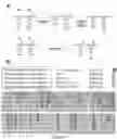 Fig. 06 - Electrolysis for protein modification