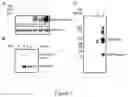 Fig. 08 - Electrolysis for protein modification