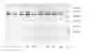 Fig. 01 - Haemocoagulase