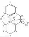 Fig. 04 - Preparation of 10-keto morphinans by benzylic oxidation
